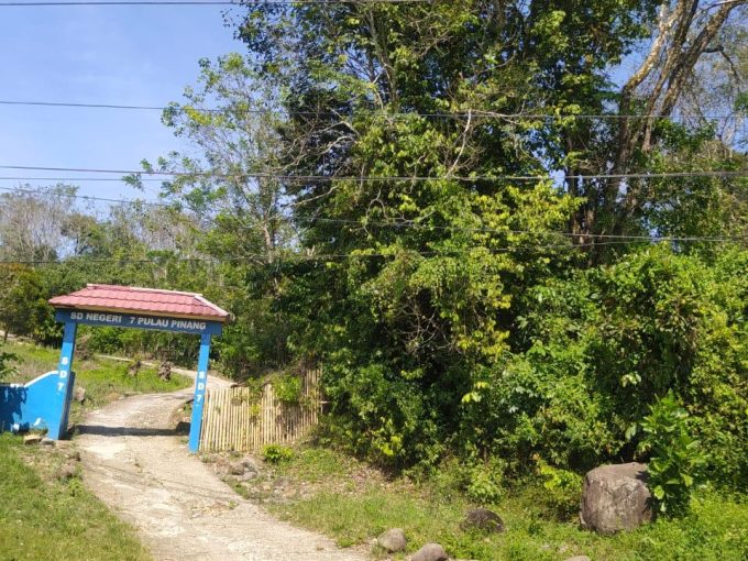 DIJUAL TANAH PINGGIR JALAN LINTAS SUMATERA LAHAT – PAGAR ALAM