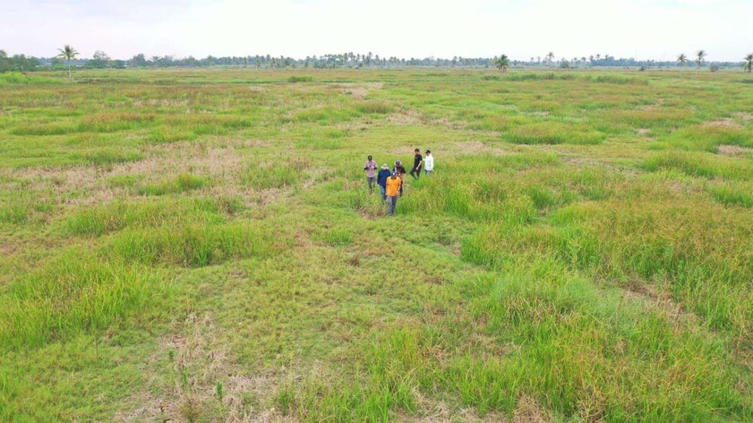 LAHAN TAA 500 HEKTARE - KAWASAN INDUSTRI PALEMBANG (1)
