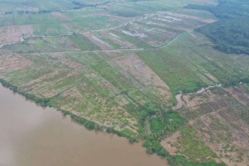 LAHAN TAA 500 HEKTARE - KAWASAN INDUSTRI PALEMBANG (1)