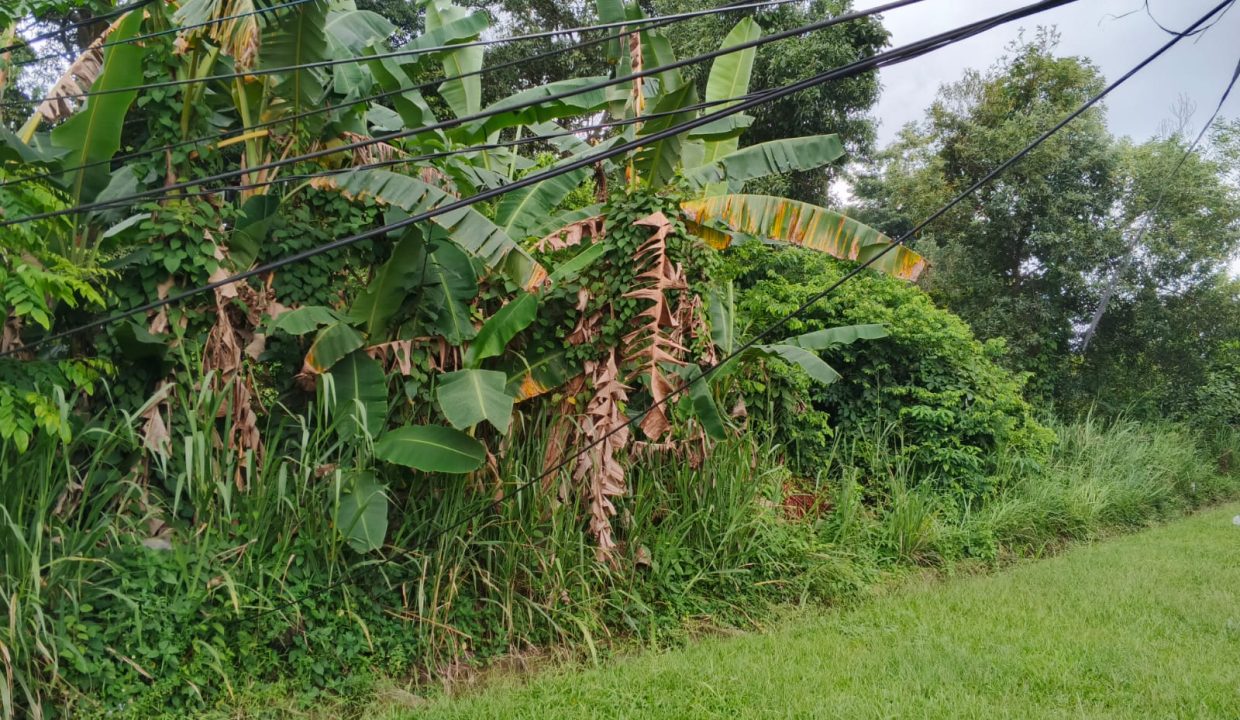 TANAH JALAN PMD (4)