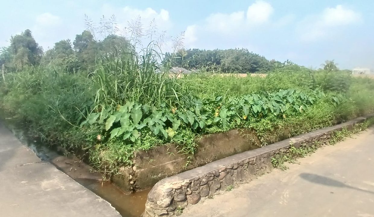 TANAH TALANG JAMBE (1)