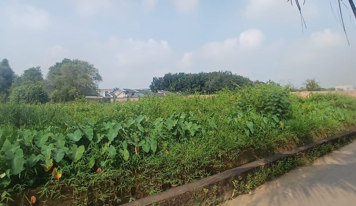 TANAH TALANG JAMBE (2)