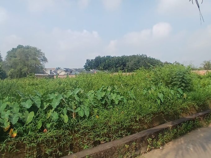 TANAH TALANG JAMBE (1)