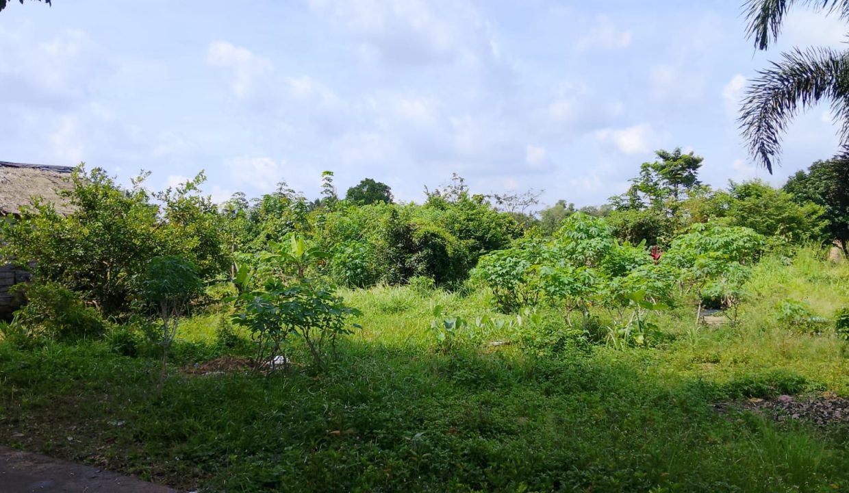 DIJUAL TANAH TALANG BETUTU (2)