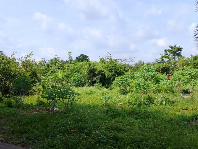 DIJUAL TANAH STRATEGIS TALANG BETUTU SUKARAME PALEMBANG