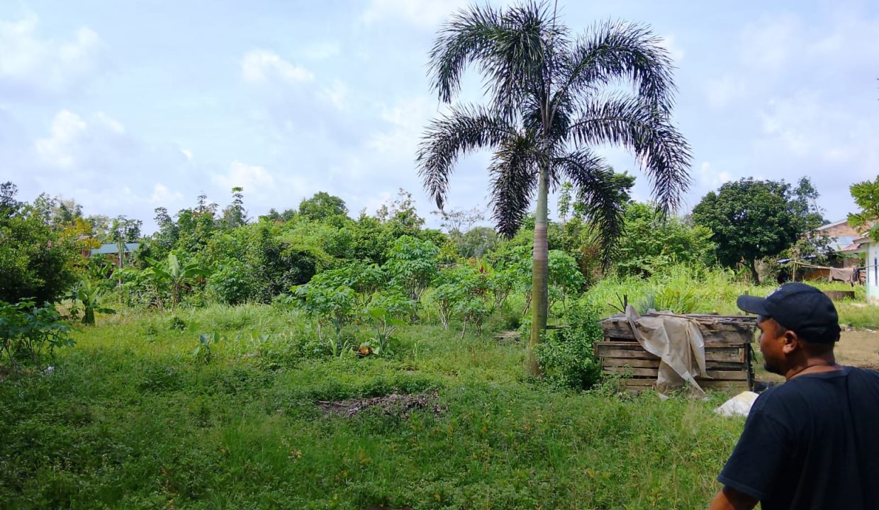 DIJUAL TANAH TALANG BETUTU (3)