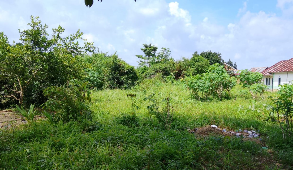 DIJUAL TANAH TALANG BETUTU (5)