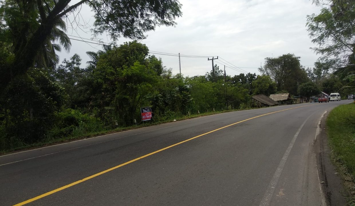 DIJUAL TANAH TANJUNG SETEKO PALEMBANG (5)