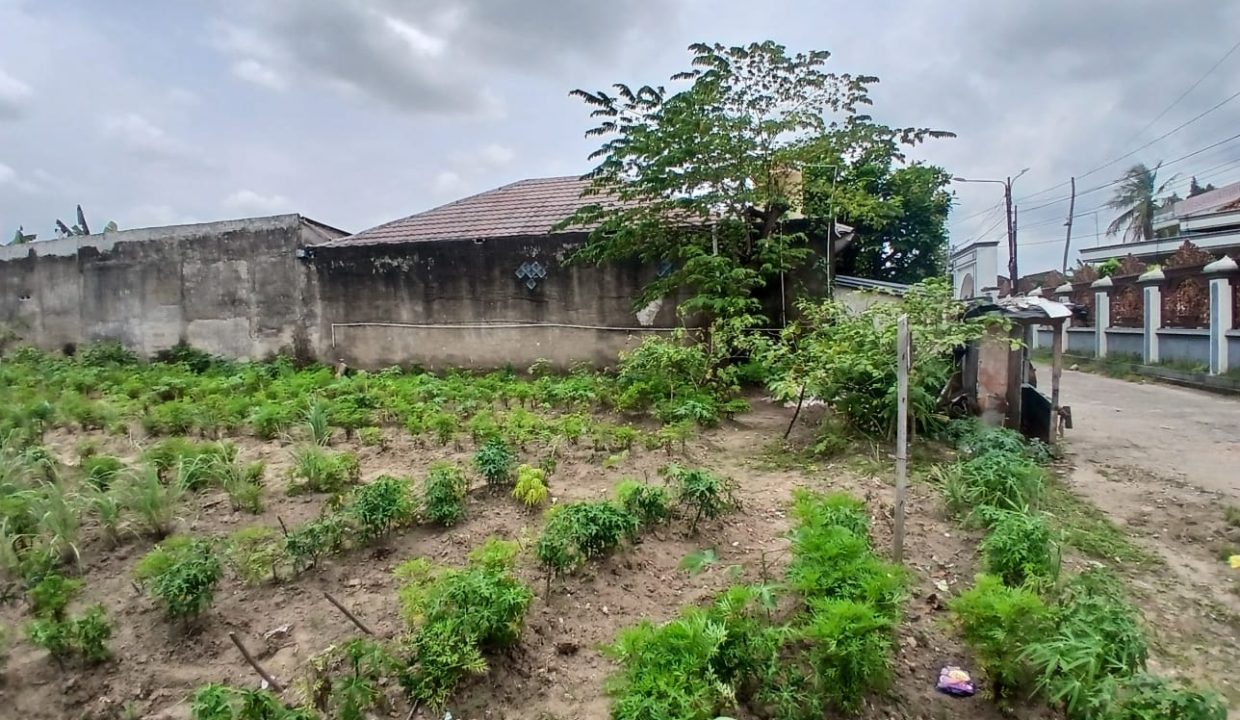 DIJUAL LAHAN PERUMNAS SAKO PALEMBANG (12)