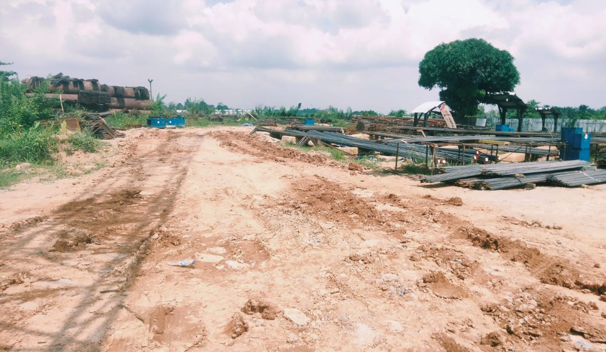 DIJUAL TANAG PULOKERTO GANDUS (9)