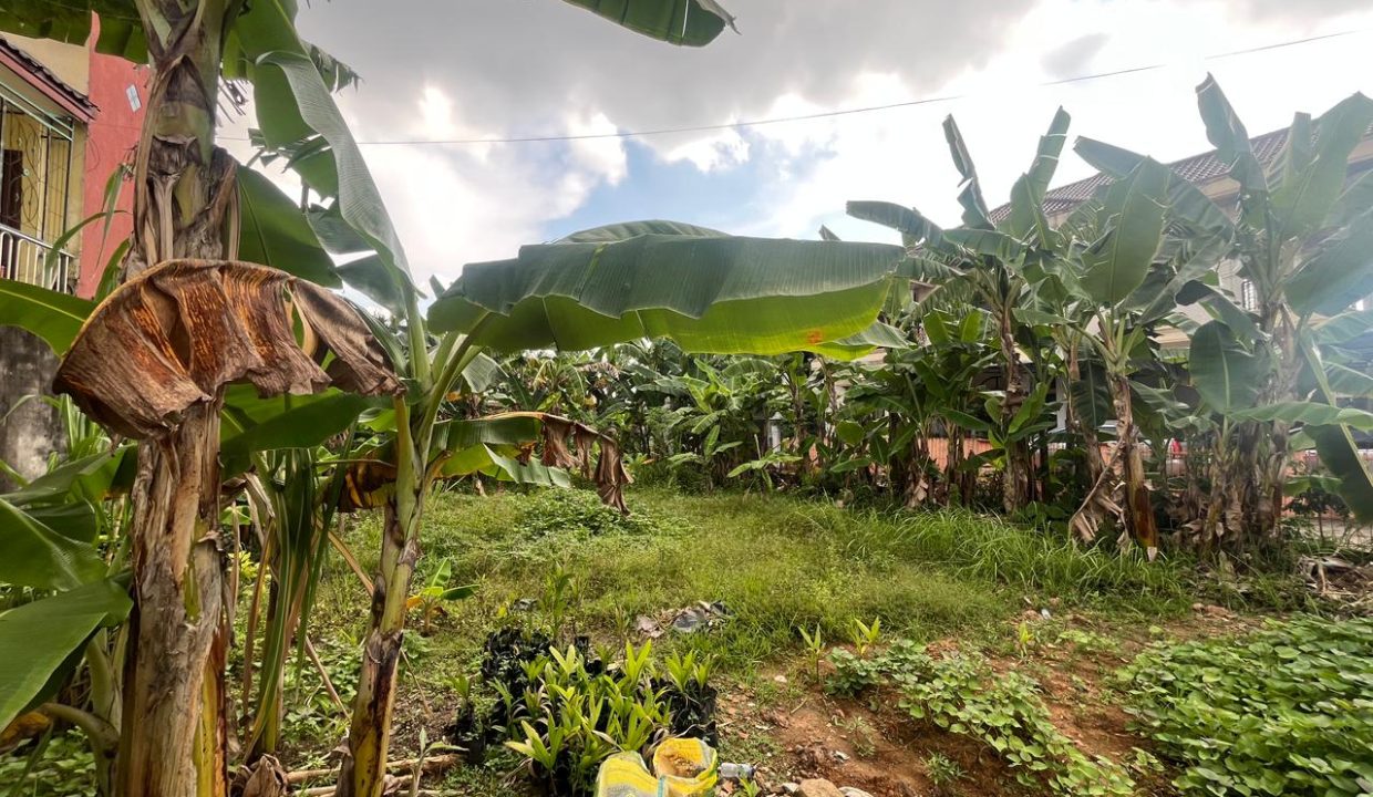 DIJUAL TANAH JALAN BIDAR KAMPUS PALEMBANG (,3)