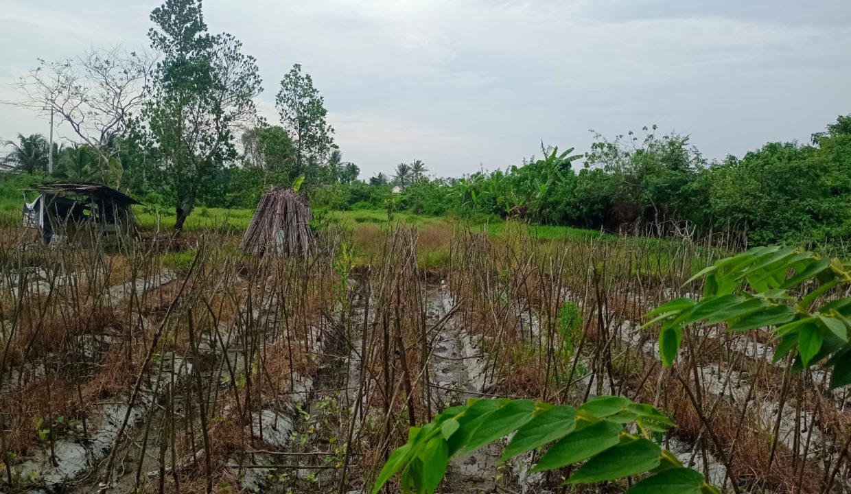DIJUAL TANAH PANGERAN AYIN KENTEN PALEMBANG (1)