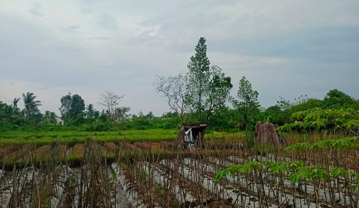 DIJUAL TANAH PANGERAN AYIN KENTEN PALEMBANG (2)