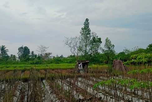 DIJUAL TANAH PANGERAN AYIN KENTEN PALEMBANG (1)