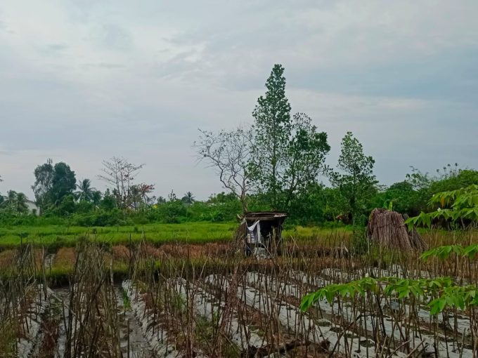 DIJUAL TANAH KERAS SIAP BANGUN JALAN PANGERAN AYIN SAKO KENTEN PALEMBANG
