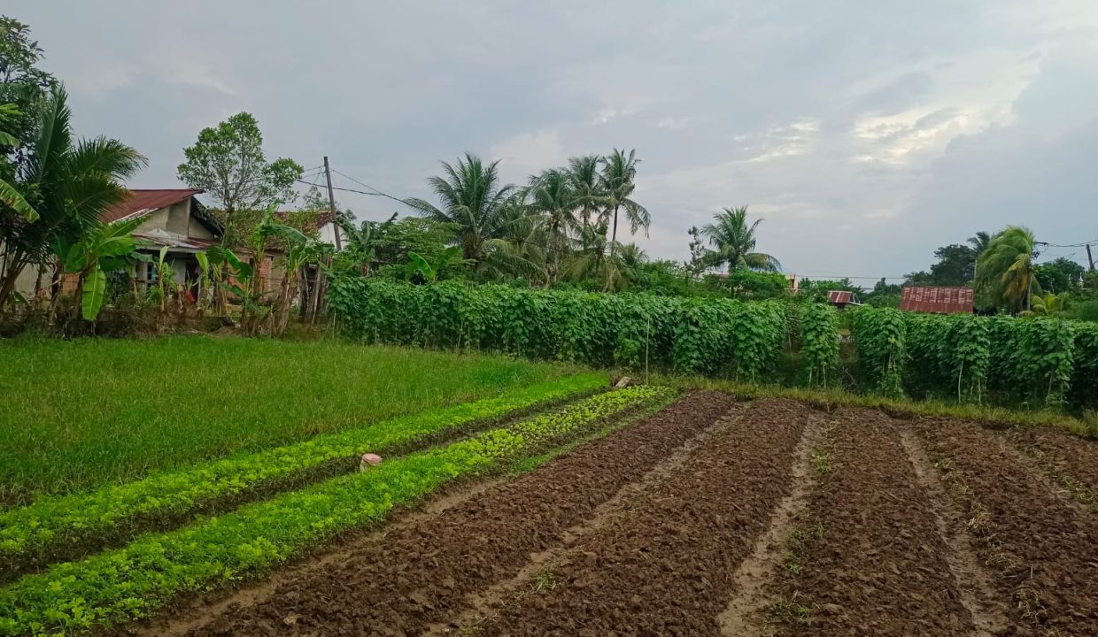 DIJUAL TANAH PANGERAN AYIN KENTEN PALEMBANG (4)