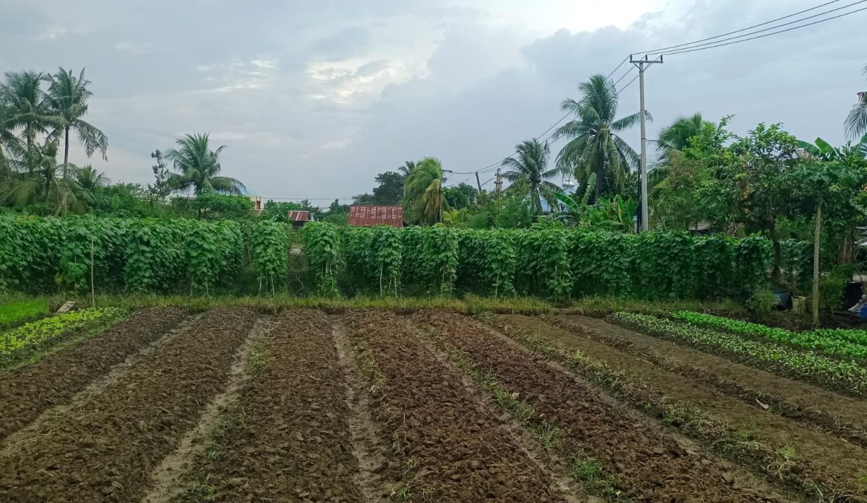 DIJUAL TANAH PANGERAN AYIN KENTEN PALEMBANG (7)