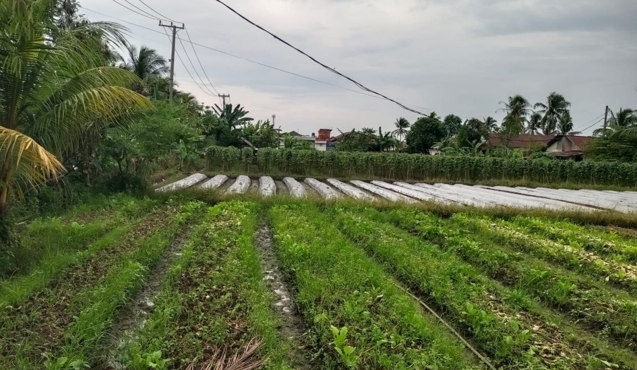 DIJUAL TANAH PANGERAN AYIN KENTEN PALEMBANG (8)