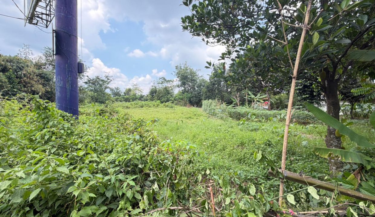 DIJUAL TANAH SIMPANG BANDARA 3882 PALEMBANG (2)