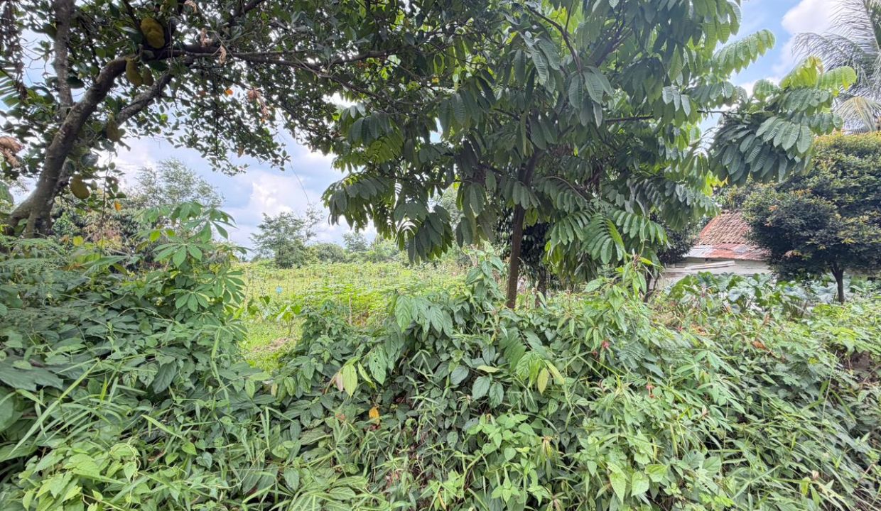 DIJUAL TANAH SIMPANG BANDARA 3882 PALEMBANG (4)