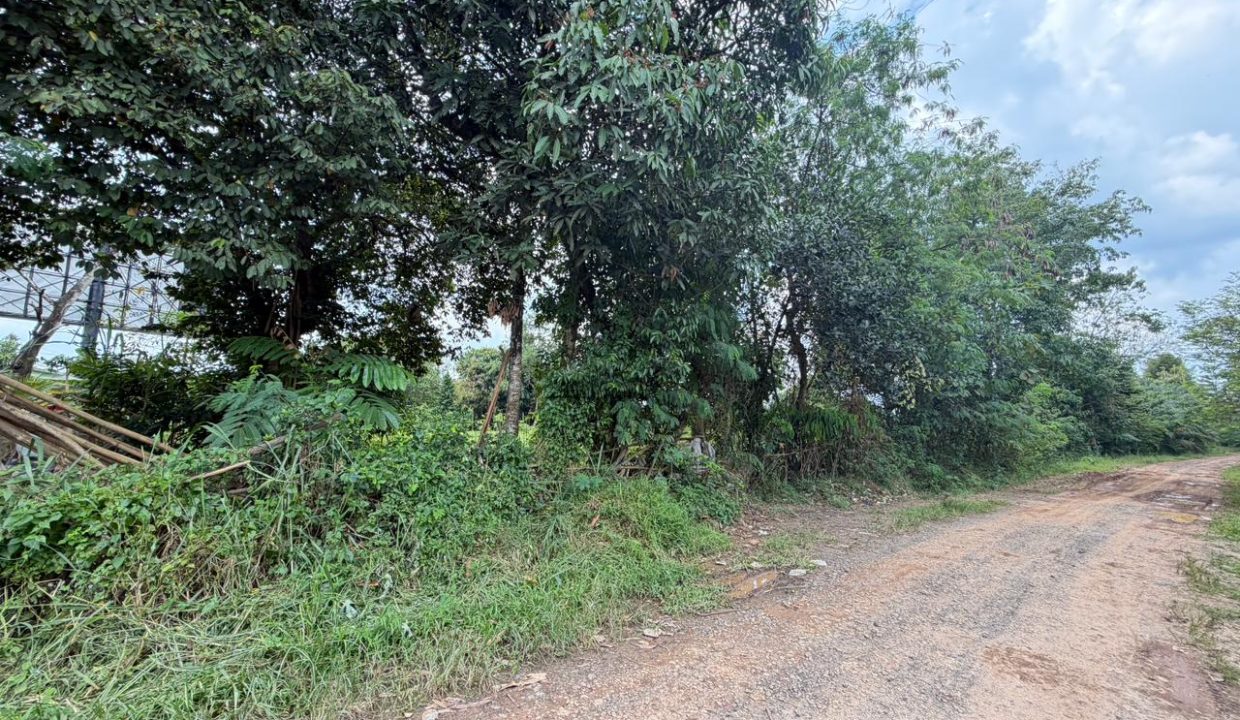 DIJUAL TANAH SIMPANG BANDARA 3882 PALEMBANG (9)