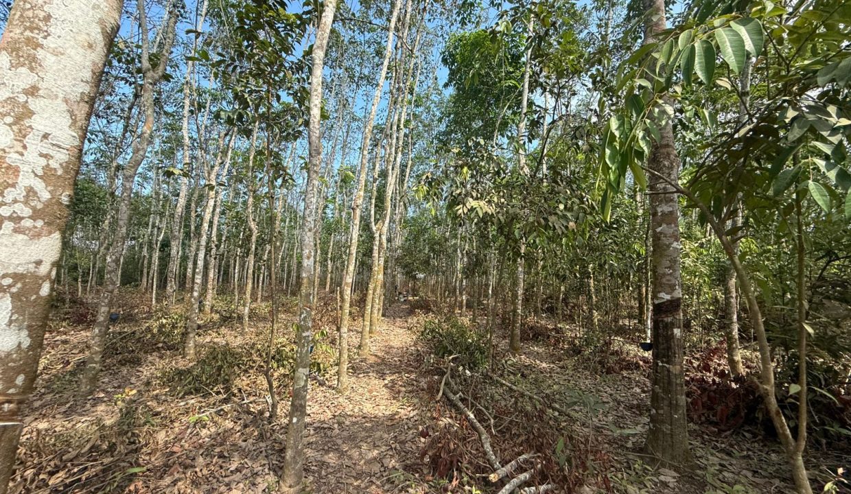 DIJUAL TANAH INDRALAYA UTARA (1)