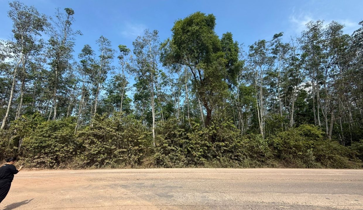 DIJUAL TANAH INDRALAYA UTARA (6)