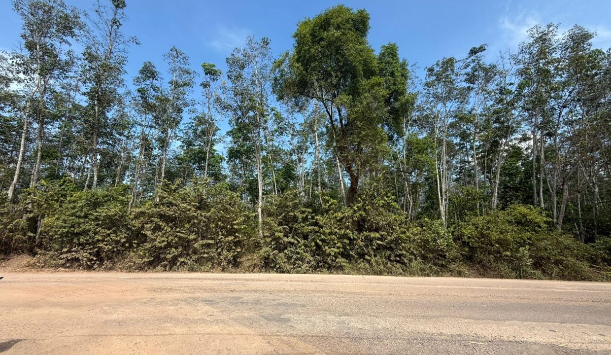 DIJUAL TANAH INDRALAYA UTARA (7)