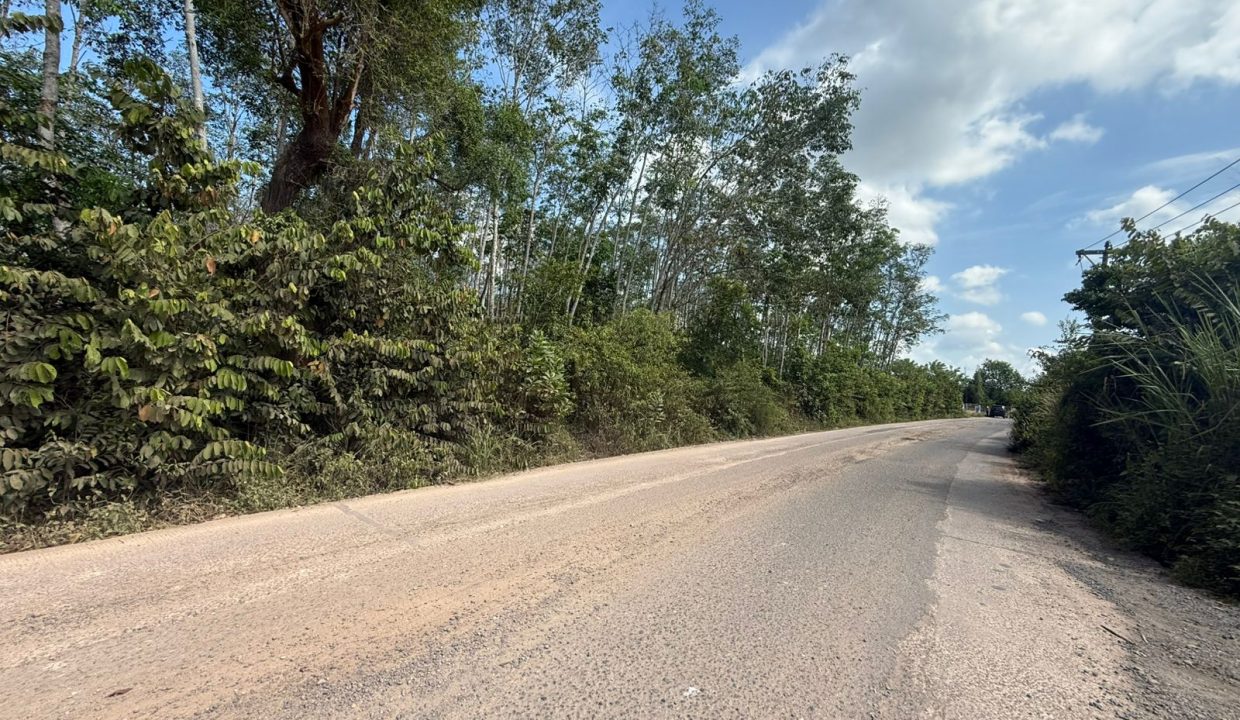 DIJUAL TANAH INDRALAYA UTARA (8)