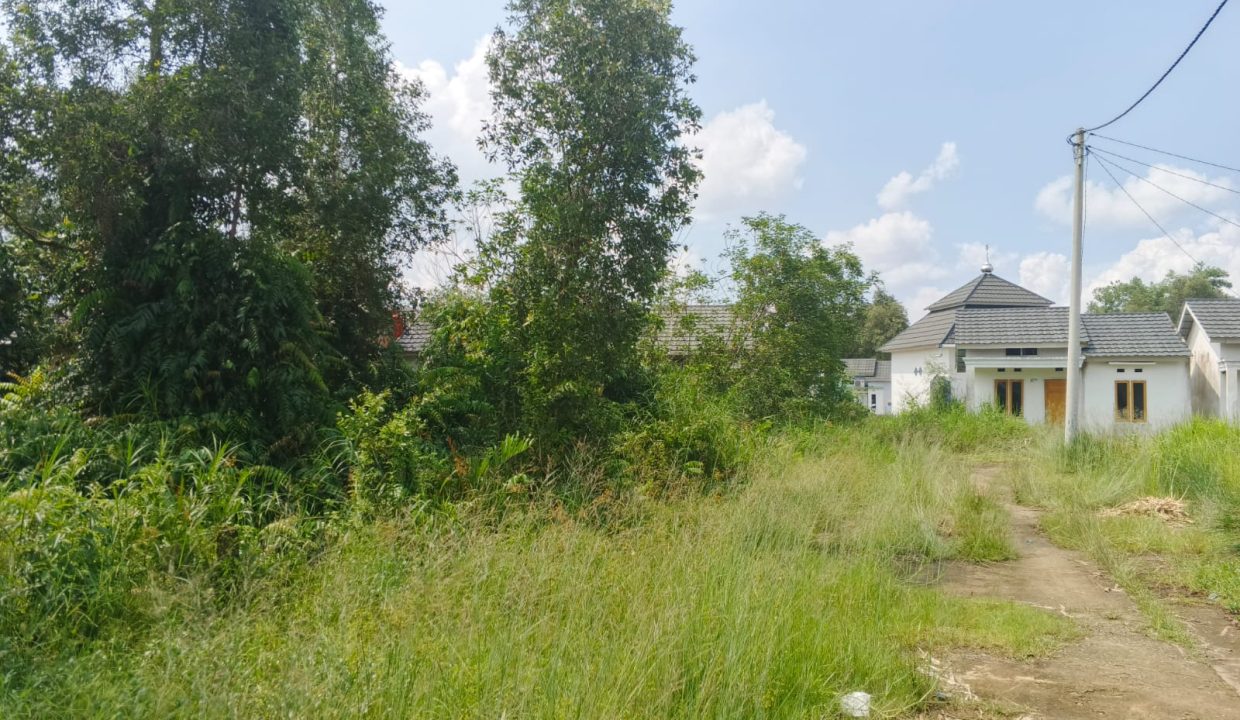 DIJUAL TANAH SEMATANG BORANG PALEMBANG (0,5)