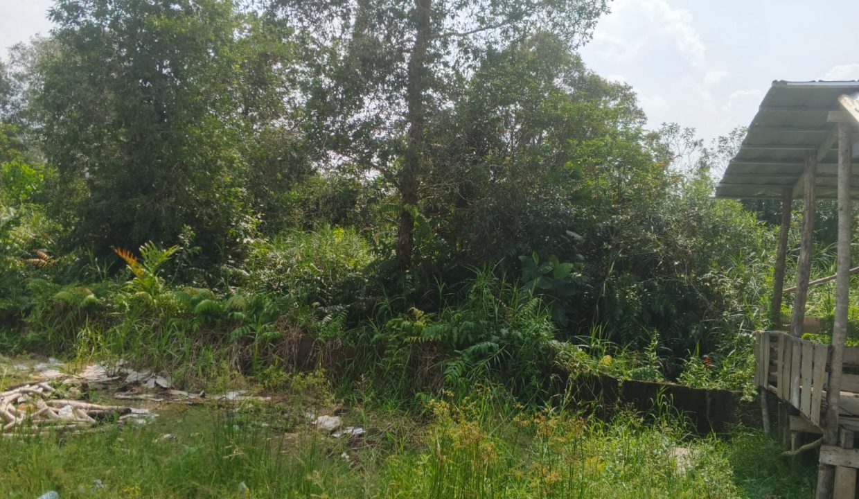 DIJUAL TANAH SEMATANG BORANG PALEMBANG (1)