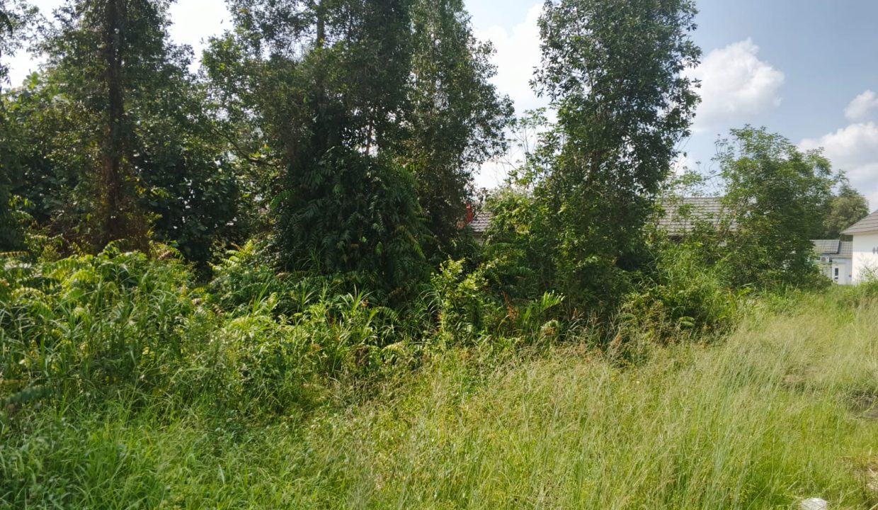 DIJUAL TANAH SEMATANG BORANG PALEMBANG (3)