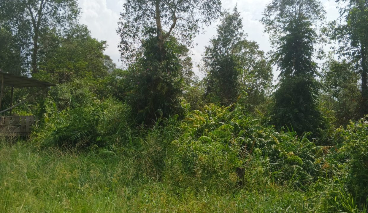 DIJUAL TANAH SEMATANG BORANG PALEMBANG (4)