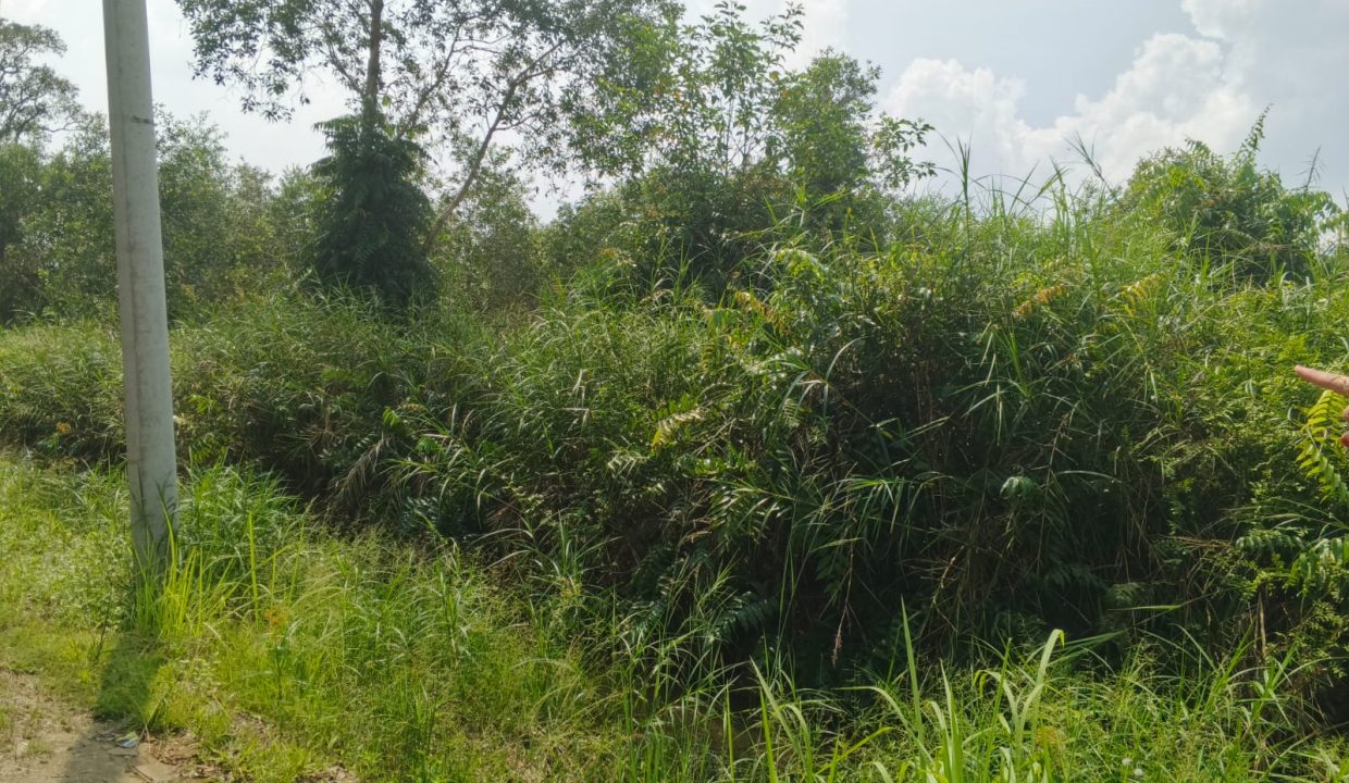 DIJUAL TANAH SEMATANG BORANG PALEMBANG (6)