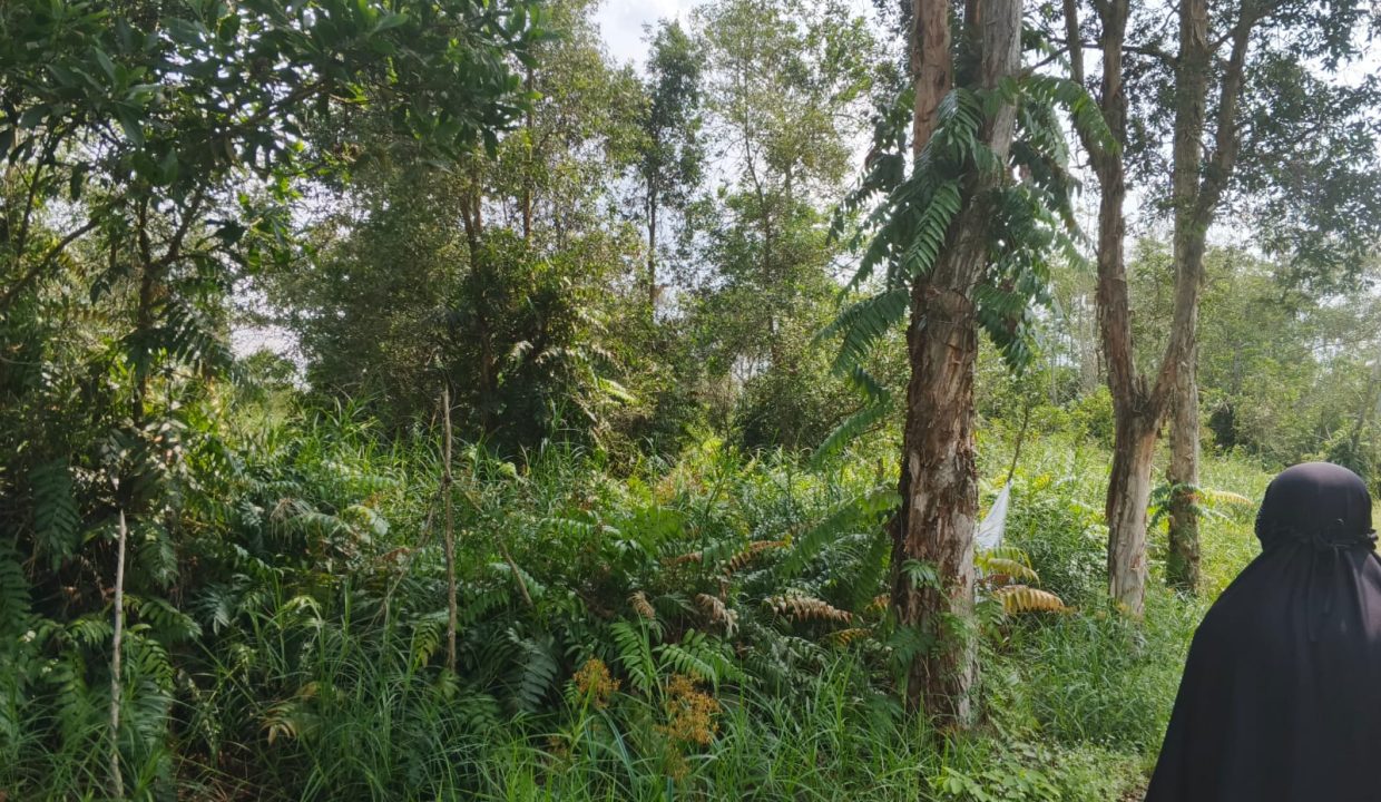 DIJUAL TANAH SEMATANG BORANG PALEMBANG (7)