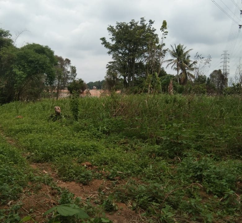 DIJUAL TANAH TANJUNG BARANGAN PALEMBANG (10)