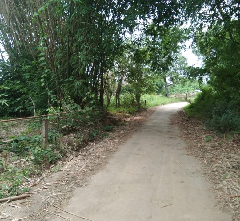 DIJUAL TANAH TANJUNG BARANGAN PALEMBANG (3)