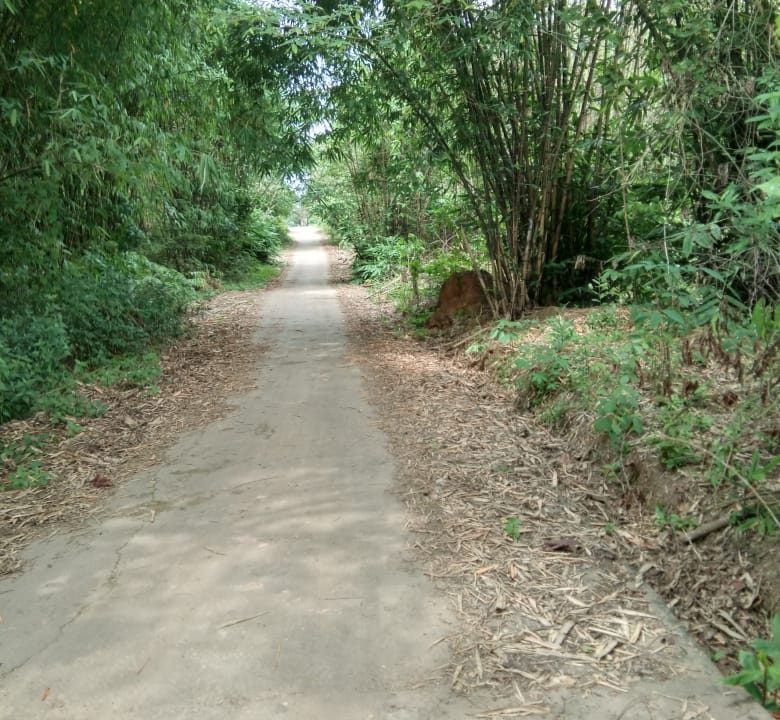 DIJUAL TANAH TANJUNG BARANGAN PALEMBANG (6)