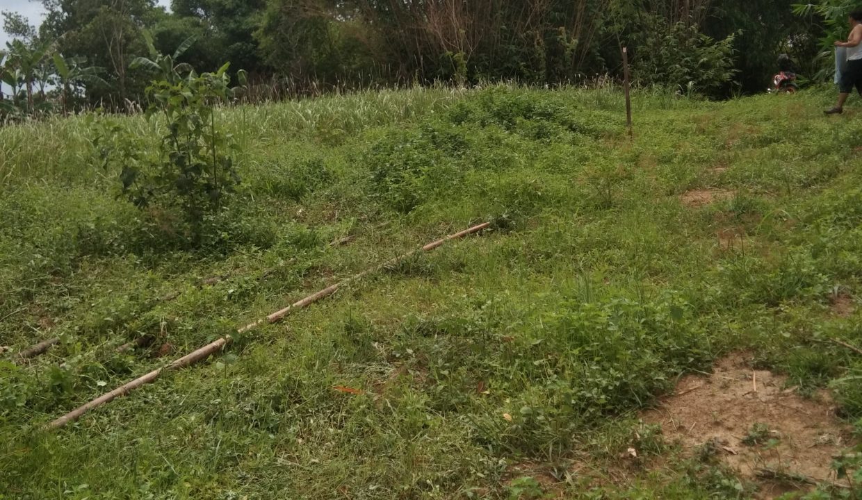 DIJUAL TANAH TANJUNG BARANGAN PALEMBANG (7)