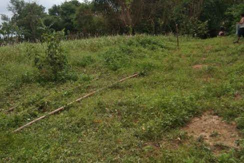 DIJUAL TANAH TANJUNG BARANGAN PALEMBANG (10)