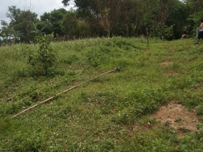 DIJUAL TANAH TANJUNG BARANGAN PALEMBANG (10)