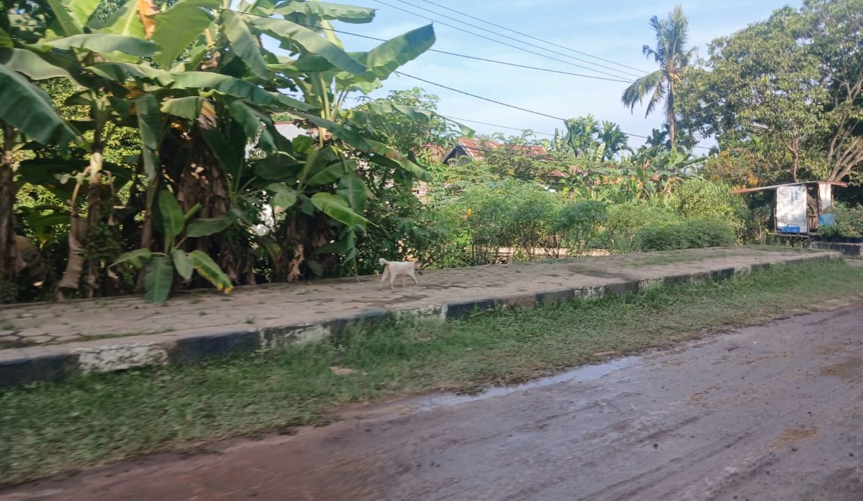 DIJUAL TANAH SAMPING KEJATI SUMSEL (4)
