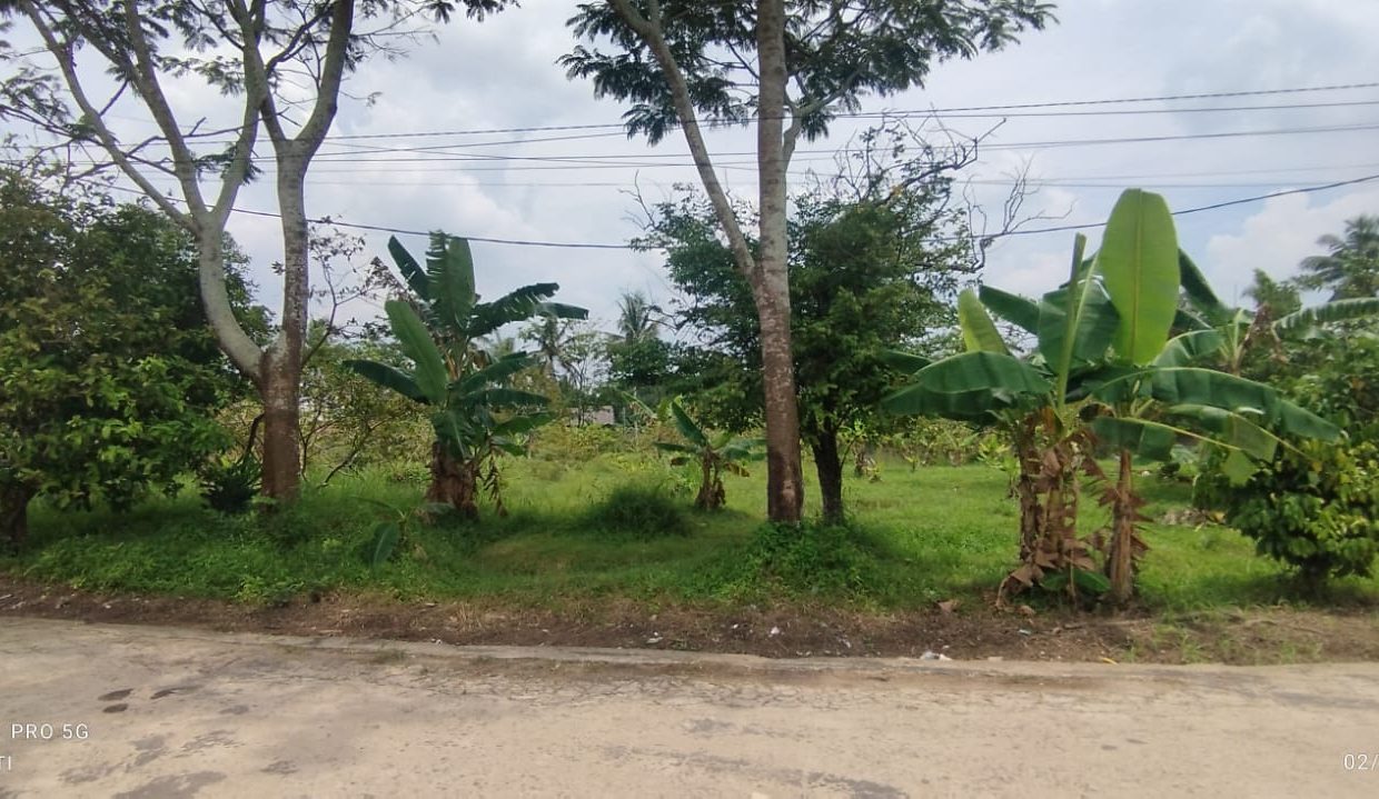 DIJUAL TANAH TALANG JAMBE PALEMBANG (2)