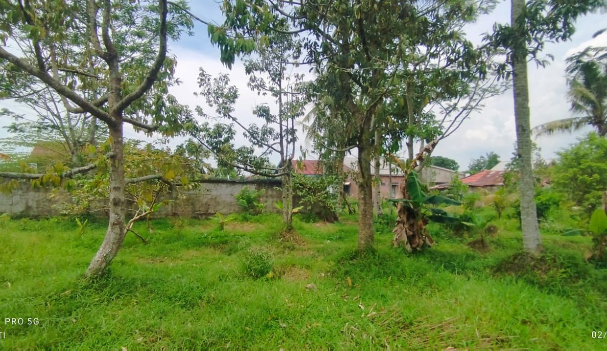 DIJUAL TANAH TALANG JAMBE PALEMBANG (3)