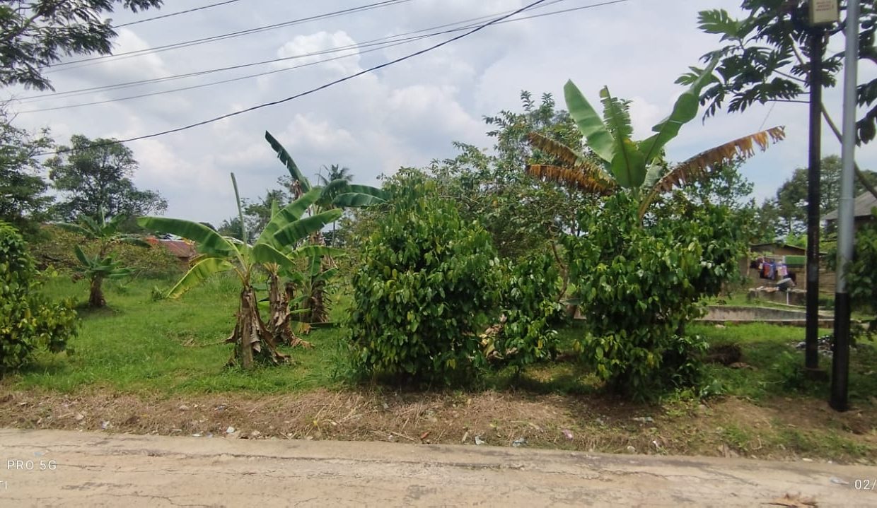 DIJUAL TANAH TALANG JAMBE PALEMBANG (4)