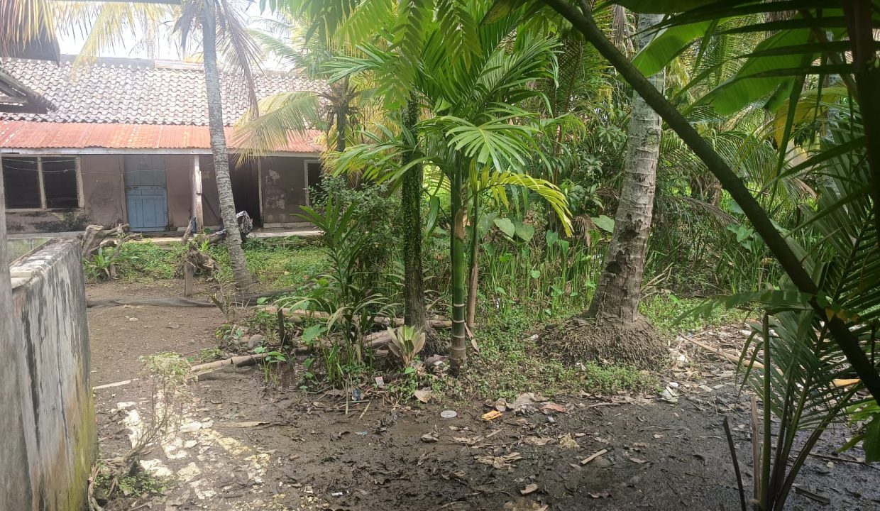 DIJUAL LAHAN BONUS RUMAH KASNARIANSYAH PALEMBANG (2)