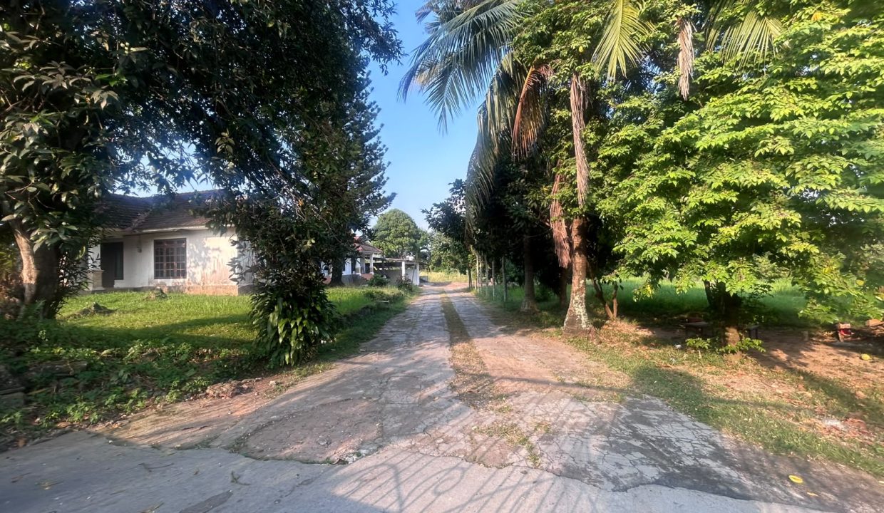 DIJUAL TANAH BONUS RUMAH LUAS DEKAT WISATA BANDAR LAMPUNG (1)