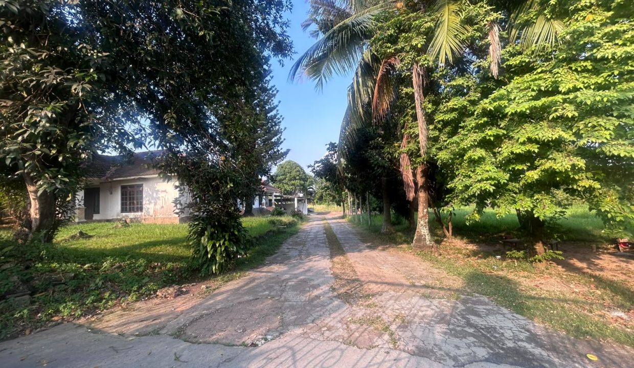 DIJUAL TANAH BONUS RUMAH LUAS DEKAT WISATA BANDAR LAMPUNG (9)