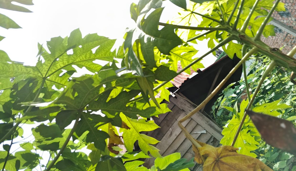 DIJUAL TANAH JALAN RATNA KAMBANG IWAK PALEMBANG (4)