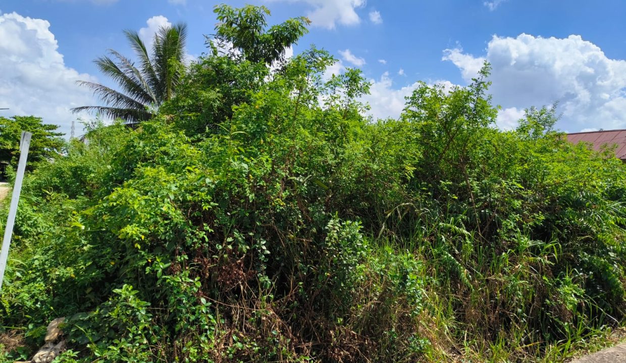 DIJUAL TANAH SEKOJO PALEMBANG (1)